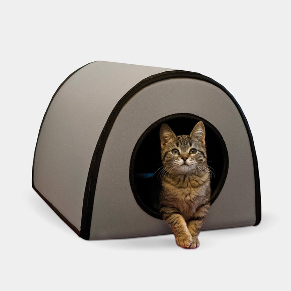 Large Breed with Lamb & Rice